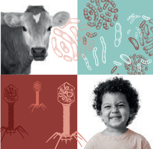 Conférence: "Vivre en intelligences avec les microbes" Conférence: "Vivre en intelligences avec les microbes"