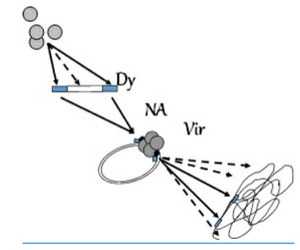 Congrès DYNAVIR 18-19 Mars 2024