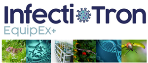 Journelle annuelle de l'EquipEx InfectioTron (05.06.24)