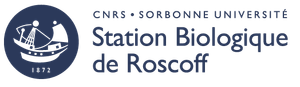 Colloque “Host adaptations to viral infections” à la station biologique CNRS de Roscoff: Inscrivez-vous dès aujourd'hui!