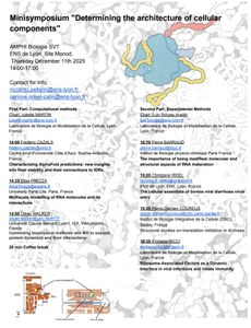 Minisymposium "Determining the architecture of cellular components"