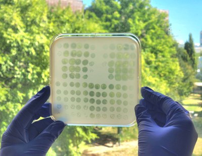 © François Rousset