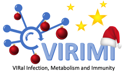 VIRIMI Logo noel