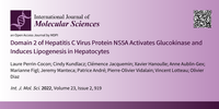 Domain 2 of Hepatitis C Virus Protein NS5A Activates Glucokinase and Induces Lipogenesis in Hepatocytes