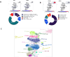 Canine mesenteric lymph nodes (MLNs) characterization by sc-RNAseq: insights compared to human and mouse MLNs 