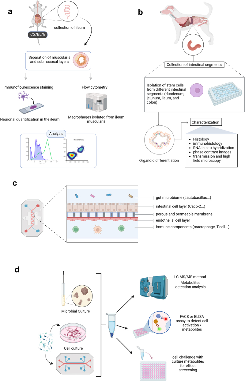 New methods to unveil host-microbe interaction mechanisms along the microbiota-gut-brain-axis 