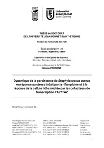 Soutenance de thèse de Nicola Pordone, équipe GIMAP (15/10/2025)