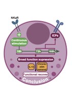     Tumor-induced natural killer cell dysfunction is a rapid and reversible process uncoupled from the expression of immune checkpoints