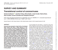 Find out more about translation in Coronavirus-infected cells.