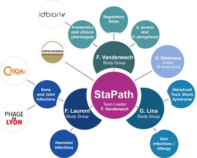 Organigramme StaPath Site Web