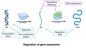 Soutenance de thèse de Chloé Teixeira, équipe StaPath (24/10/2025)