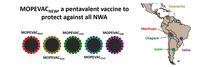 Un vaccin contre les arénavirus du Nouveau Monde